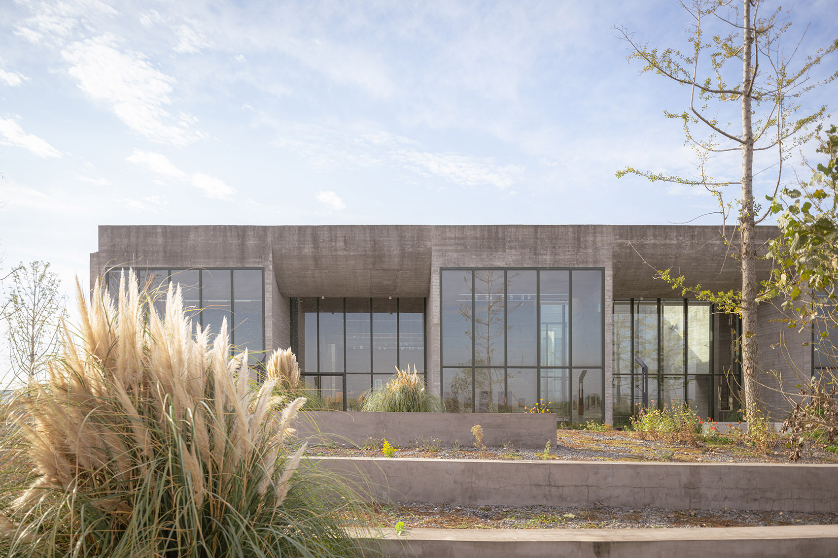 银杏画廊丨中国嘉兴丨MORE Architecture-4