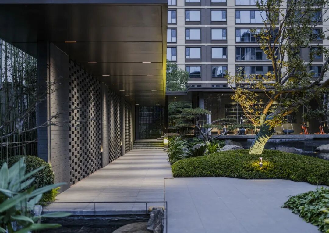 邯郸 · 天正 · 凤鸣九章丨中国河北丨麦田景观-31