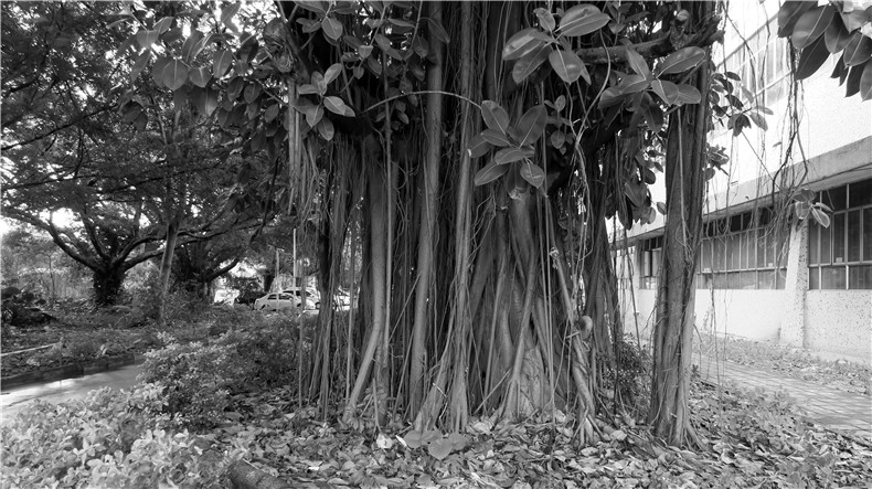 益力矿泉水厂更新策略研究丨中国深圳丨有方-52