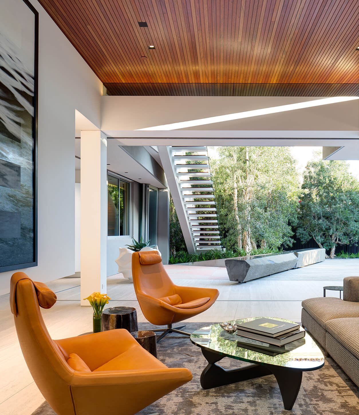 霍克·科罗纳多丨美国加利福尼亚-16