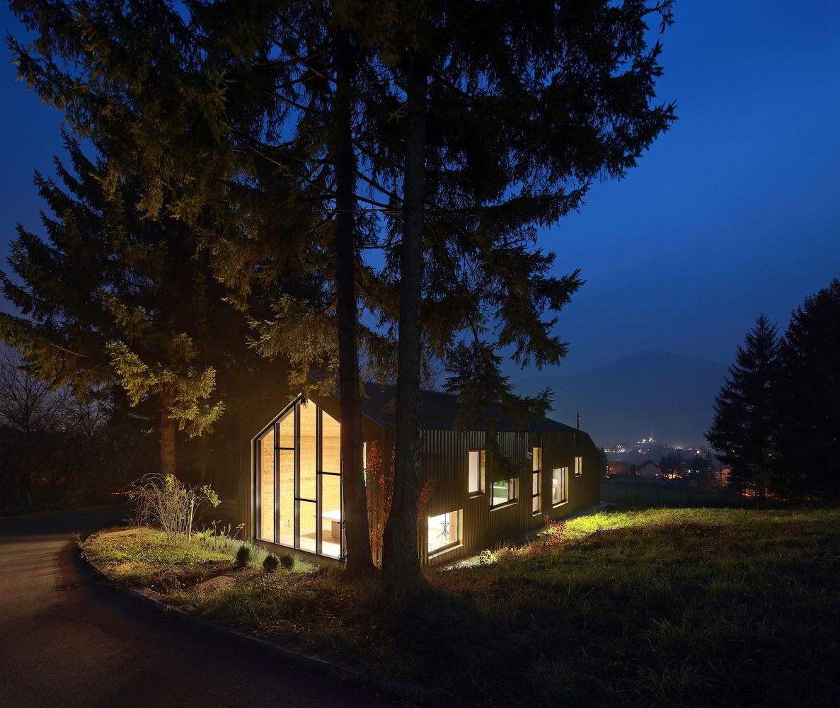 小宅大院，绿意盎然-11