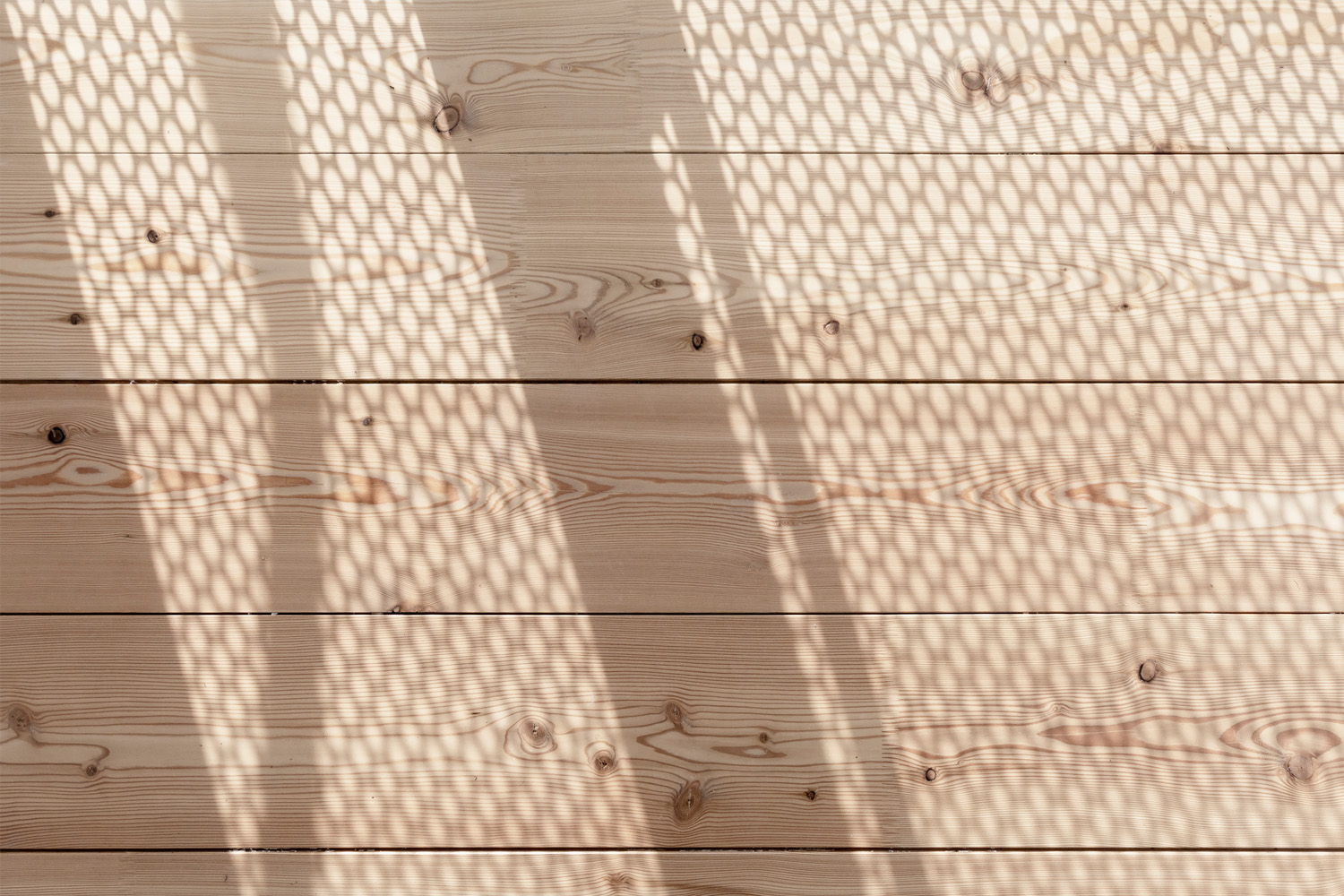 果园中的家园-51