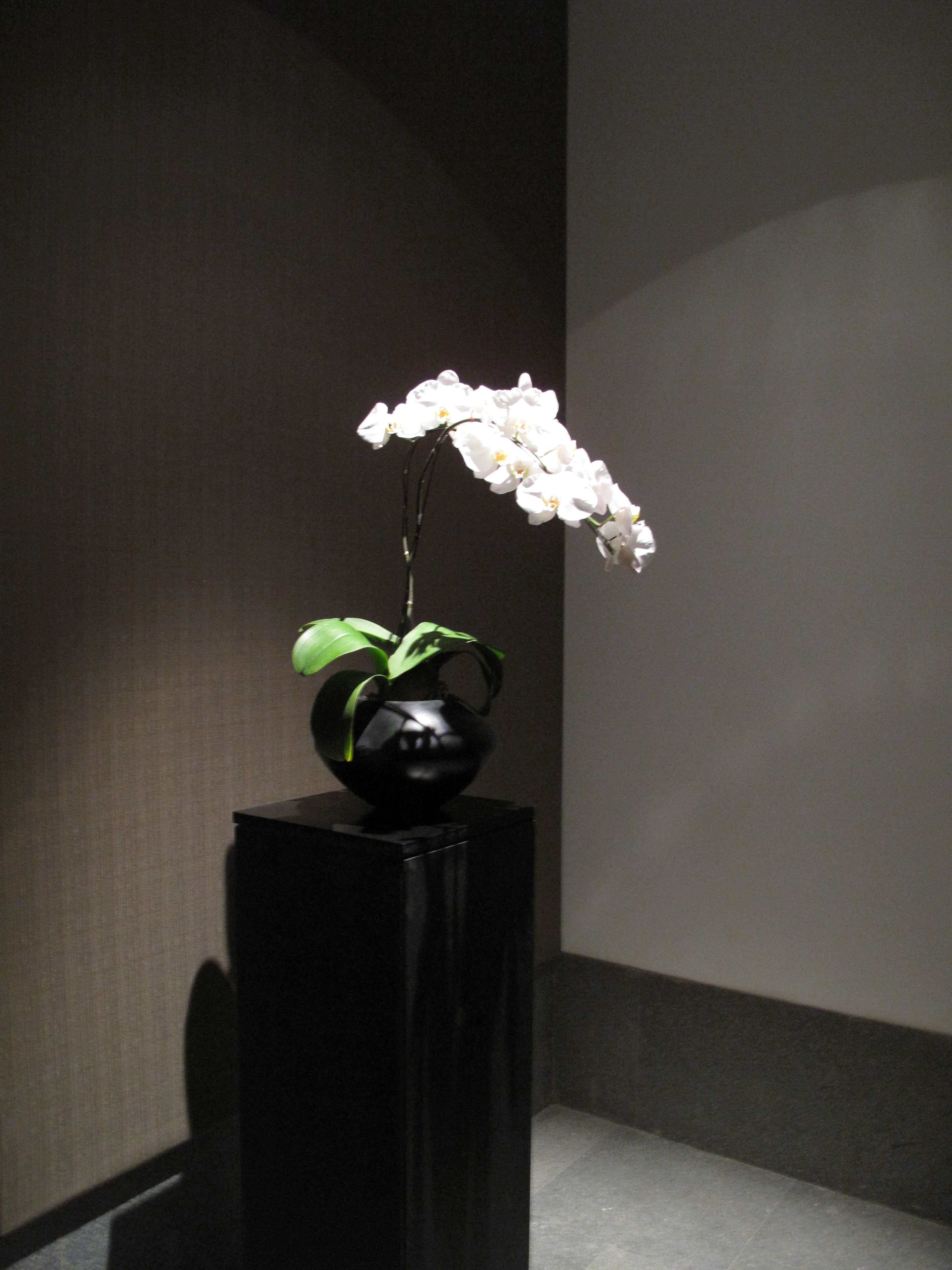 JAYA  北京安曼颐和酒店-9-71