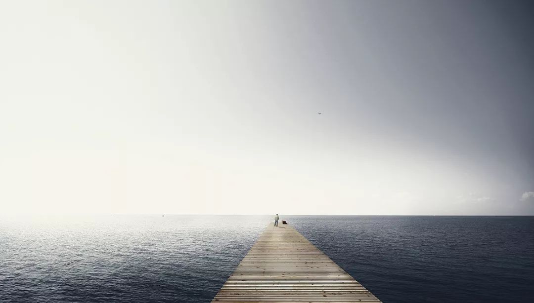 岛屿漫游 | 丹麦阿迈厄自然公园重塑计划-37