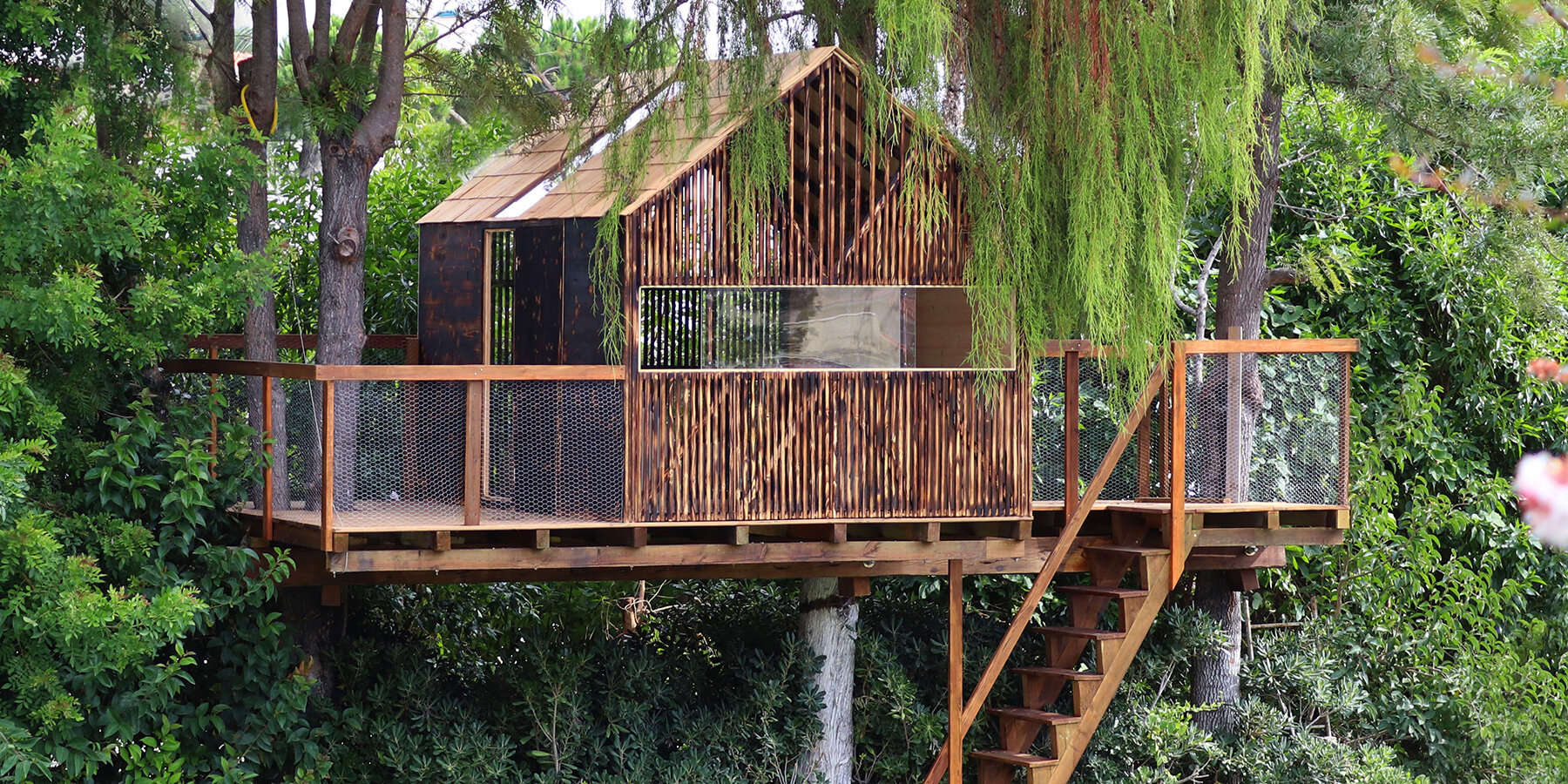 葡萄牙树屋 | 回归自然的童年记忆-0