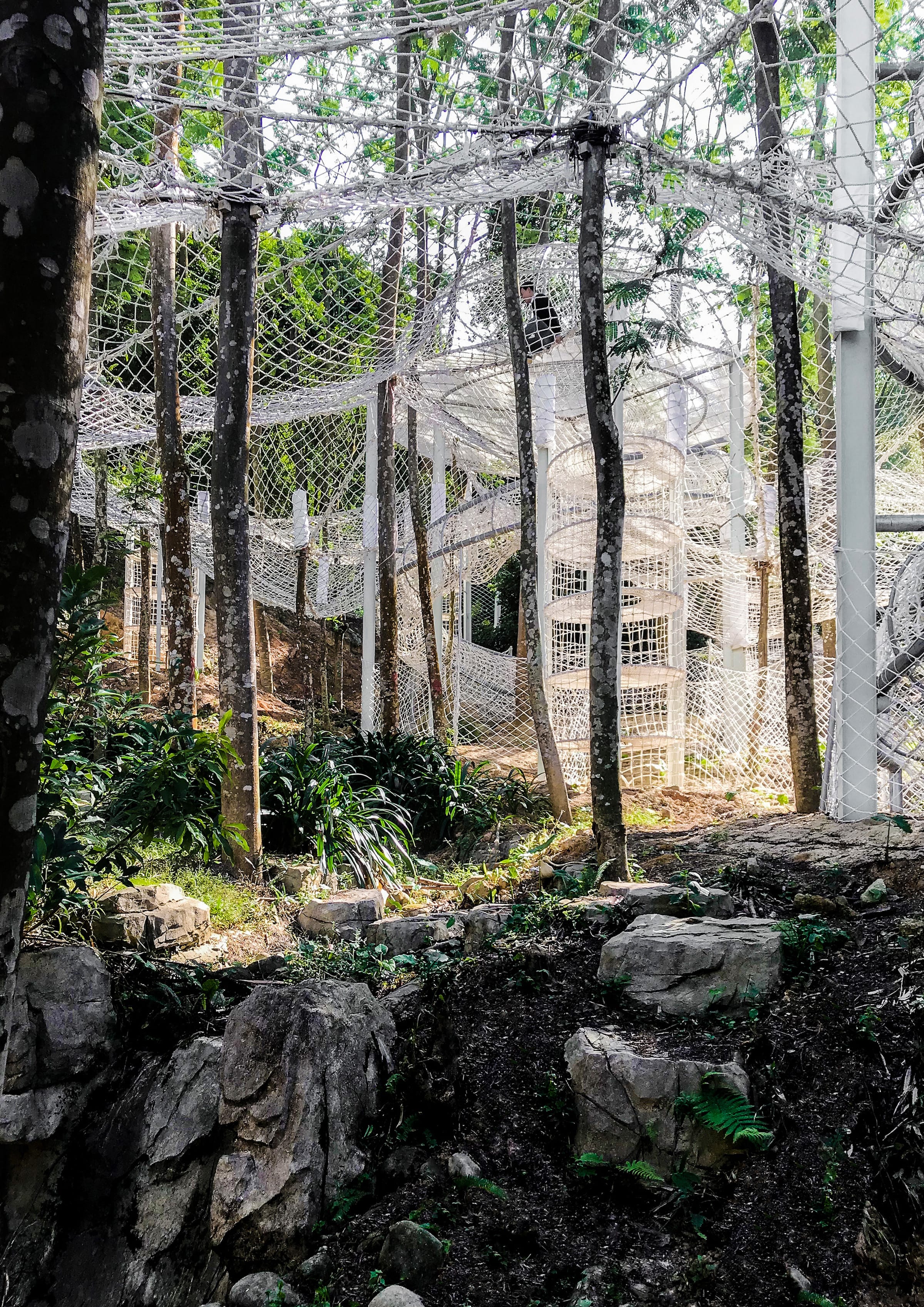 广东罗浮山谷林攀爬乐园-29