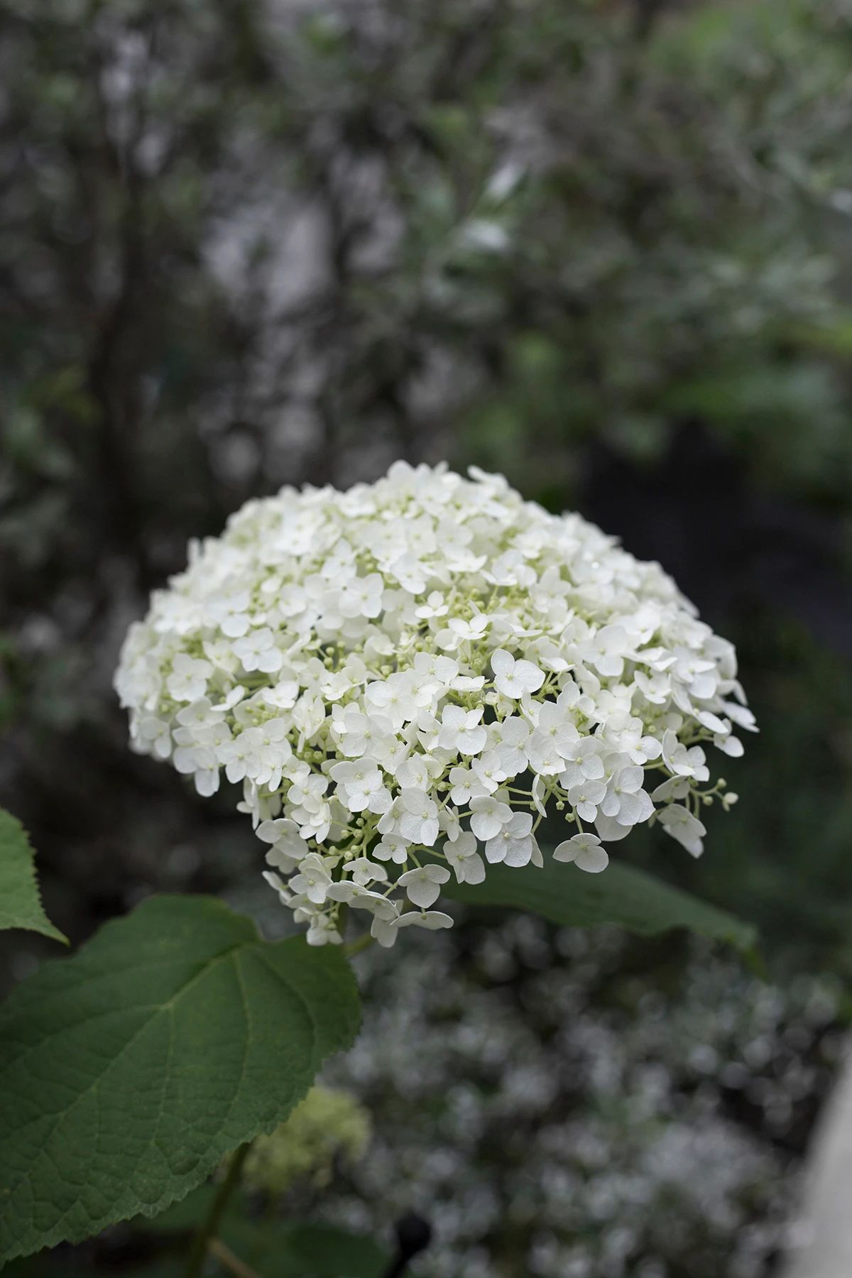 花痴的世界 · 川南小城住宅室内设计丨中国泸州丨境壹空间设计-48