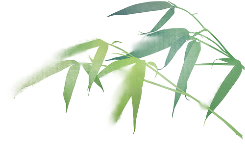 【工作动态】西山茶马花街|南藤云竹博物馆：让竹藤千年技艺在指尖“活”出时代新韵-60