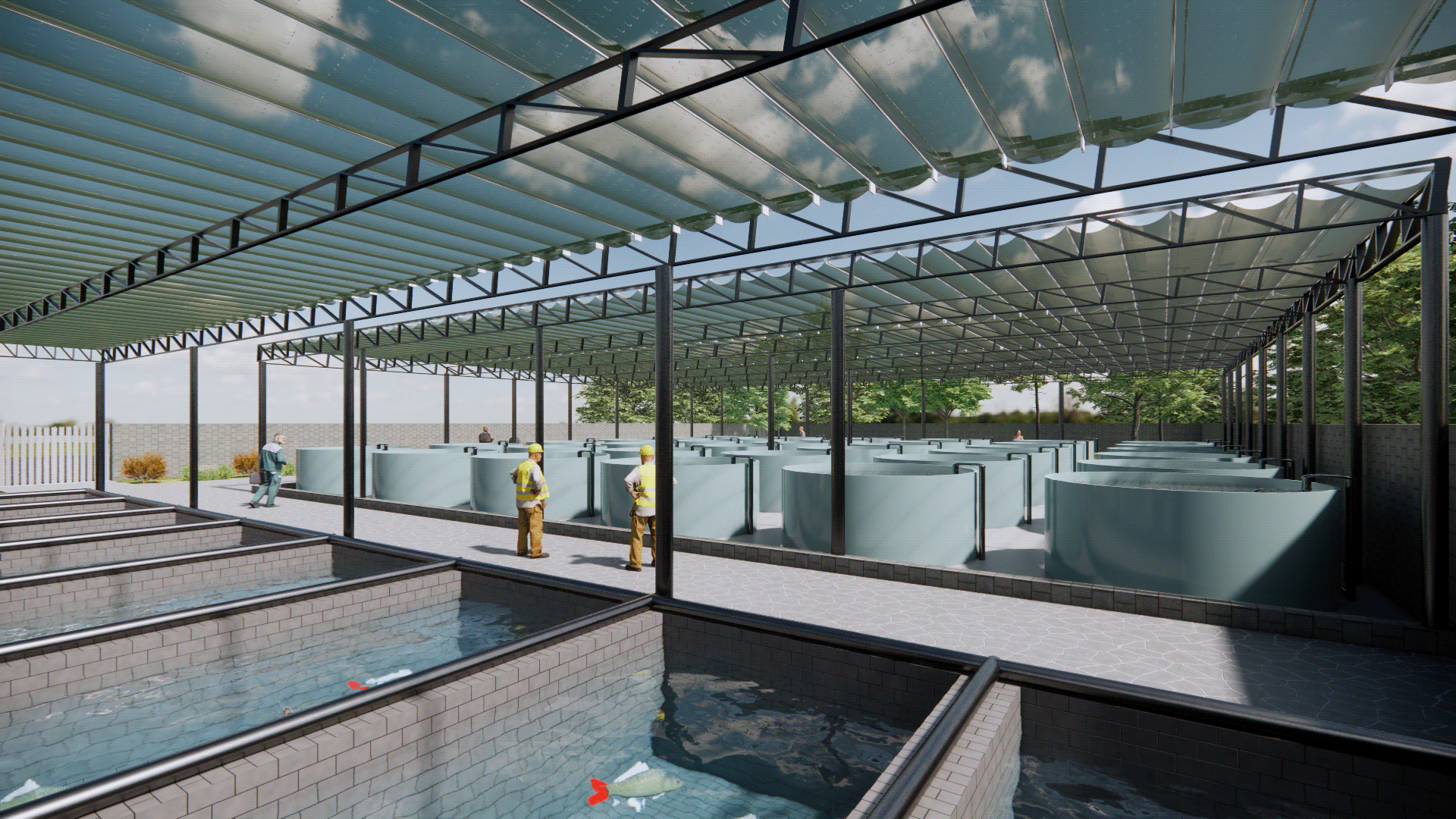 Aquaculture Facility Design and 3D Visualization-12