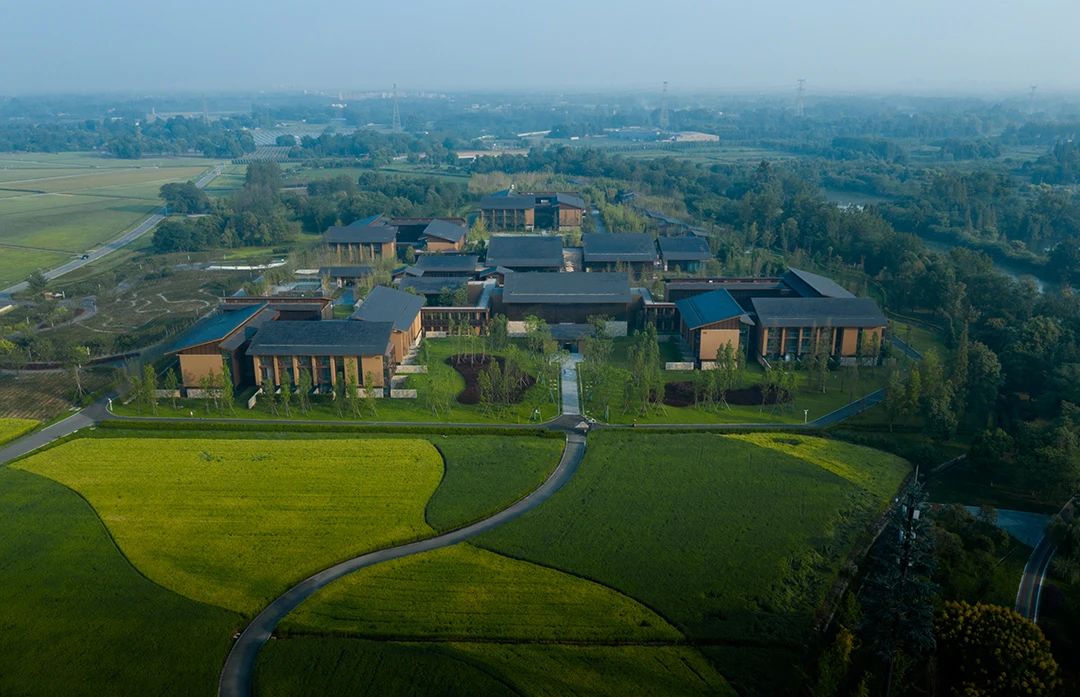 天府农博酒店丨中国成都丨YANG设计集团-11