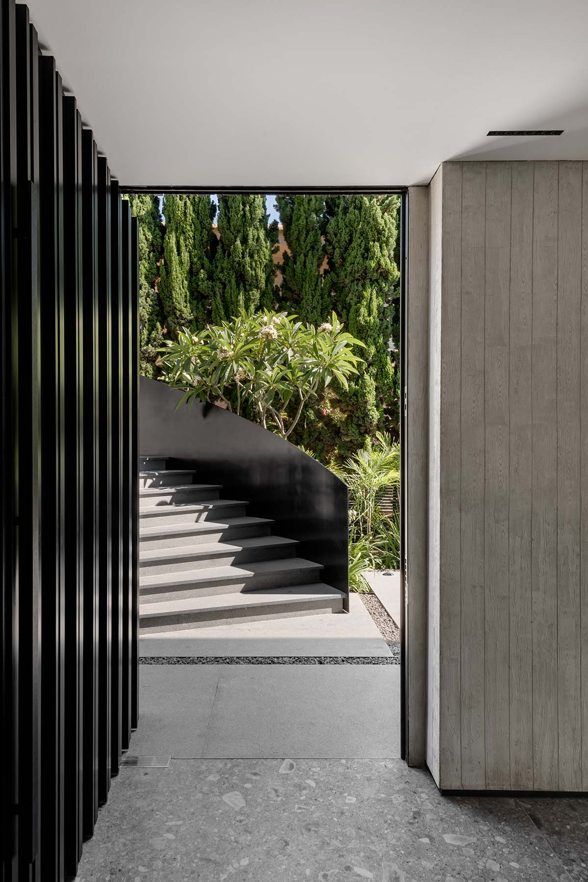 元素屋 | Erez Hyatt | 2024 | 以色列-3