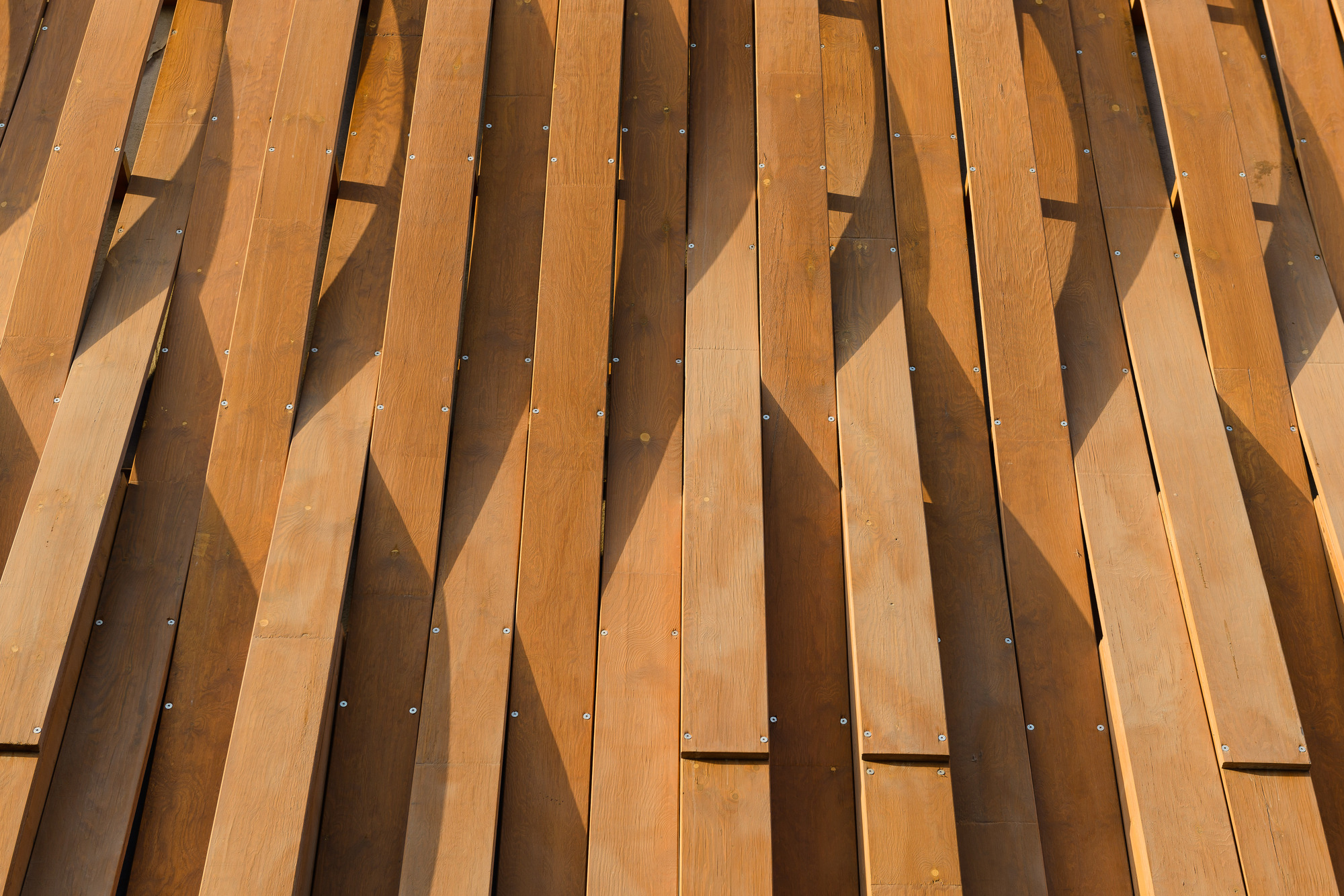 2020 年迪拜世博会匈牙利馆丨阿联酋迪拜丨ArchEA Atelier,Paralel Atelier-46