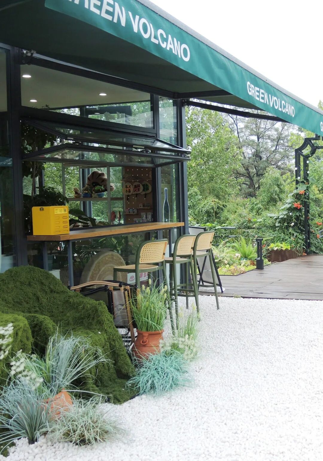 大众网满月回访泉民园艺中心领航店-64