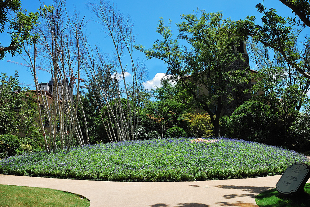 上海龙湖好望山住宅项目丨中国上海丨L&A设计集团-21