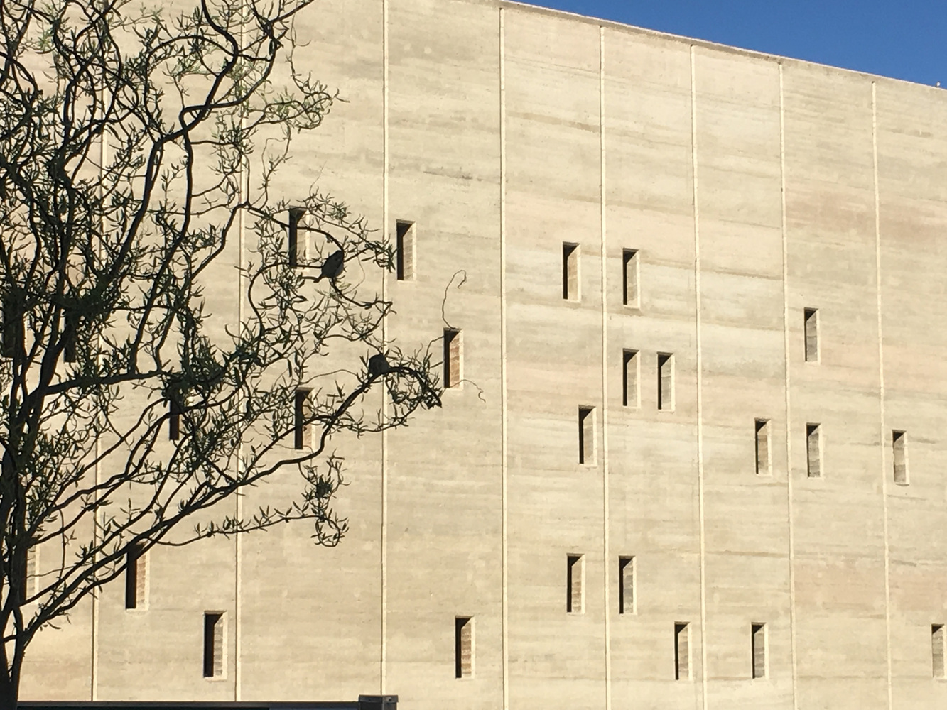 阿富汗巴米扬省立医院-33