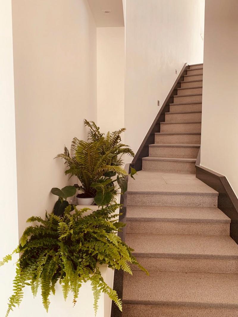 融合传统与现代的家居改造设计-11