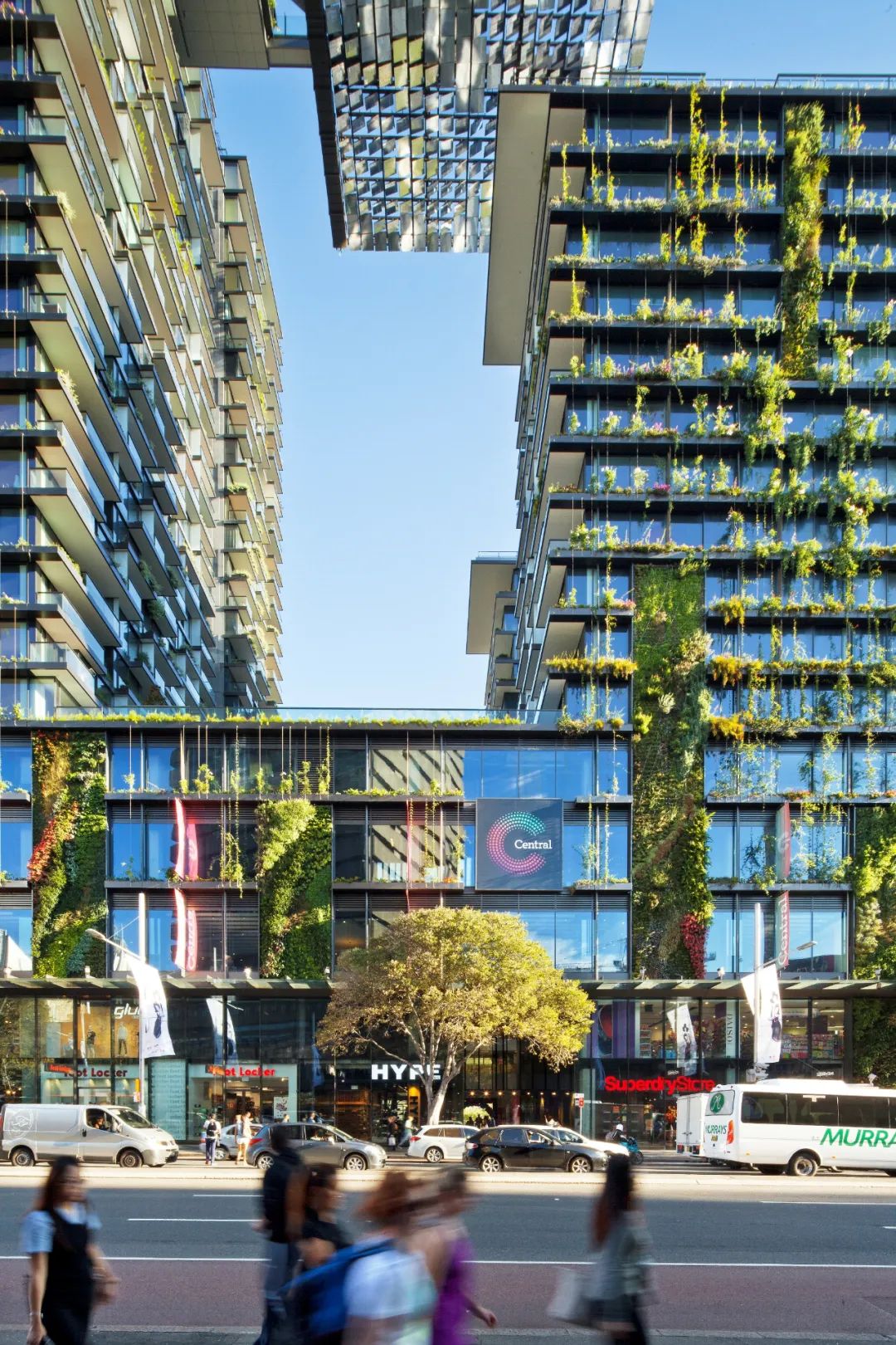 悉尼中央公园一号丨澳大利亚悉尼-18