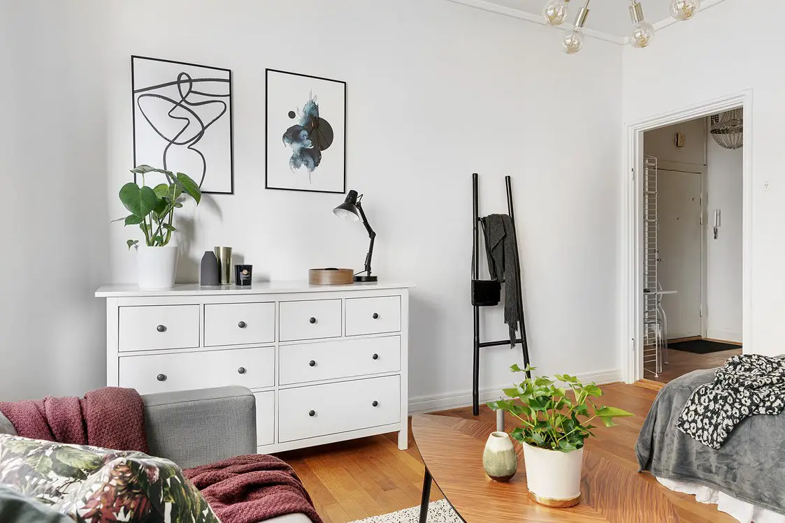 24 平米瑞典小公寓,入口变办公室巧妙利用空间-5