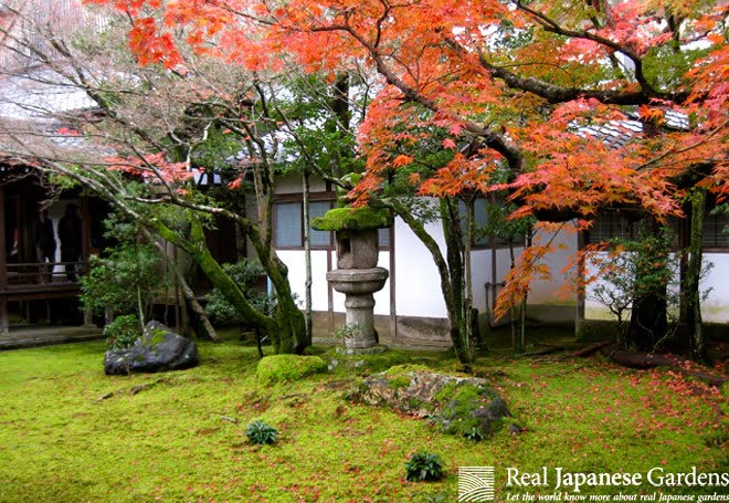 Ninna  ji（仁和寺）丨日本京都-10