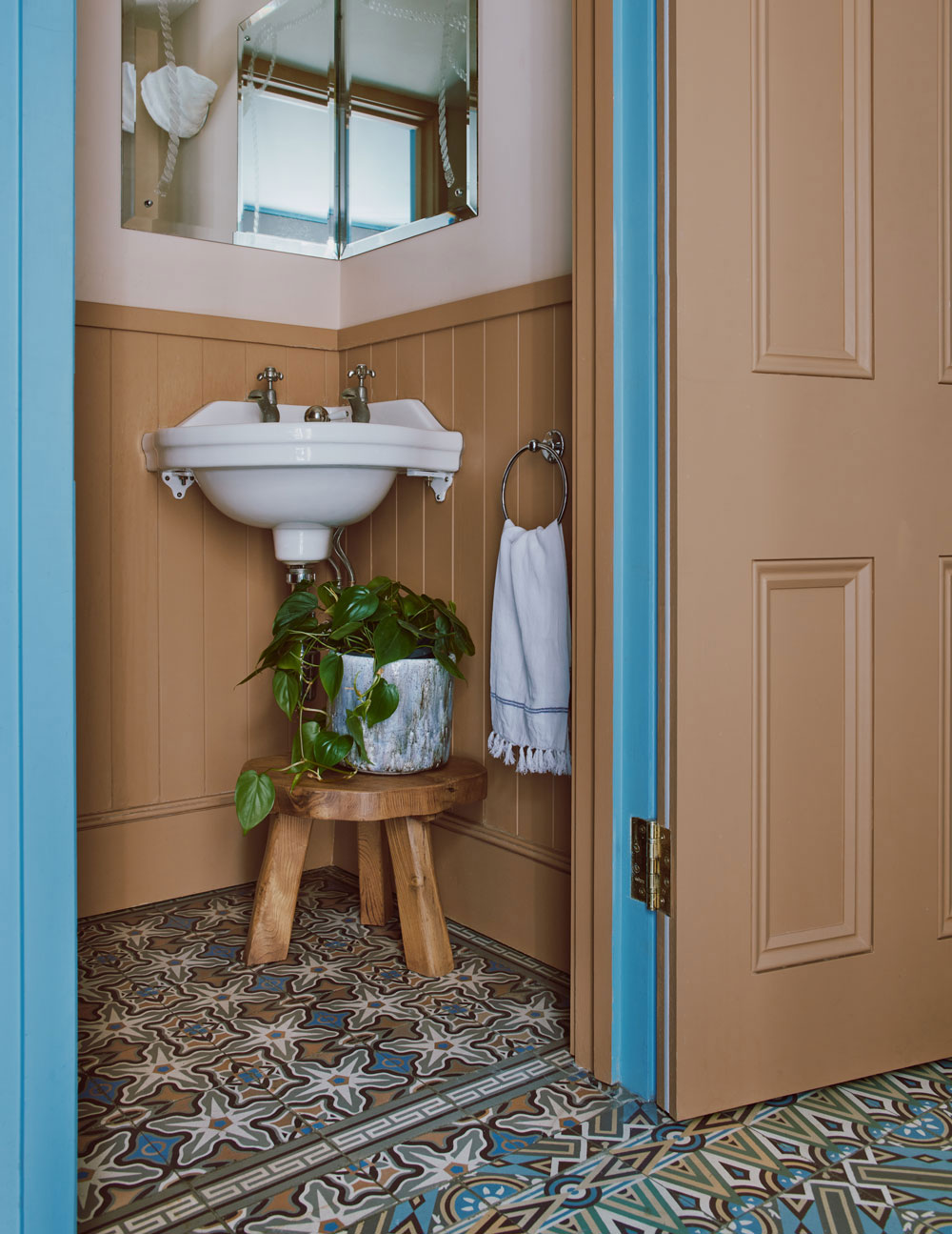 伦敦 exotic 植物主题家庭住宅 | 自然与艺术的完美融合-11