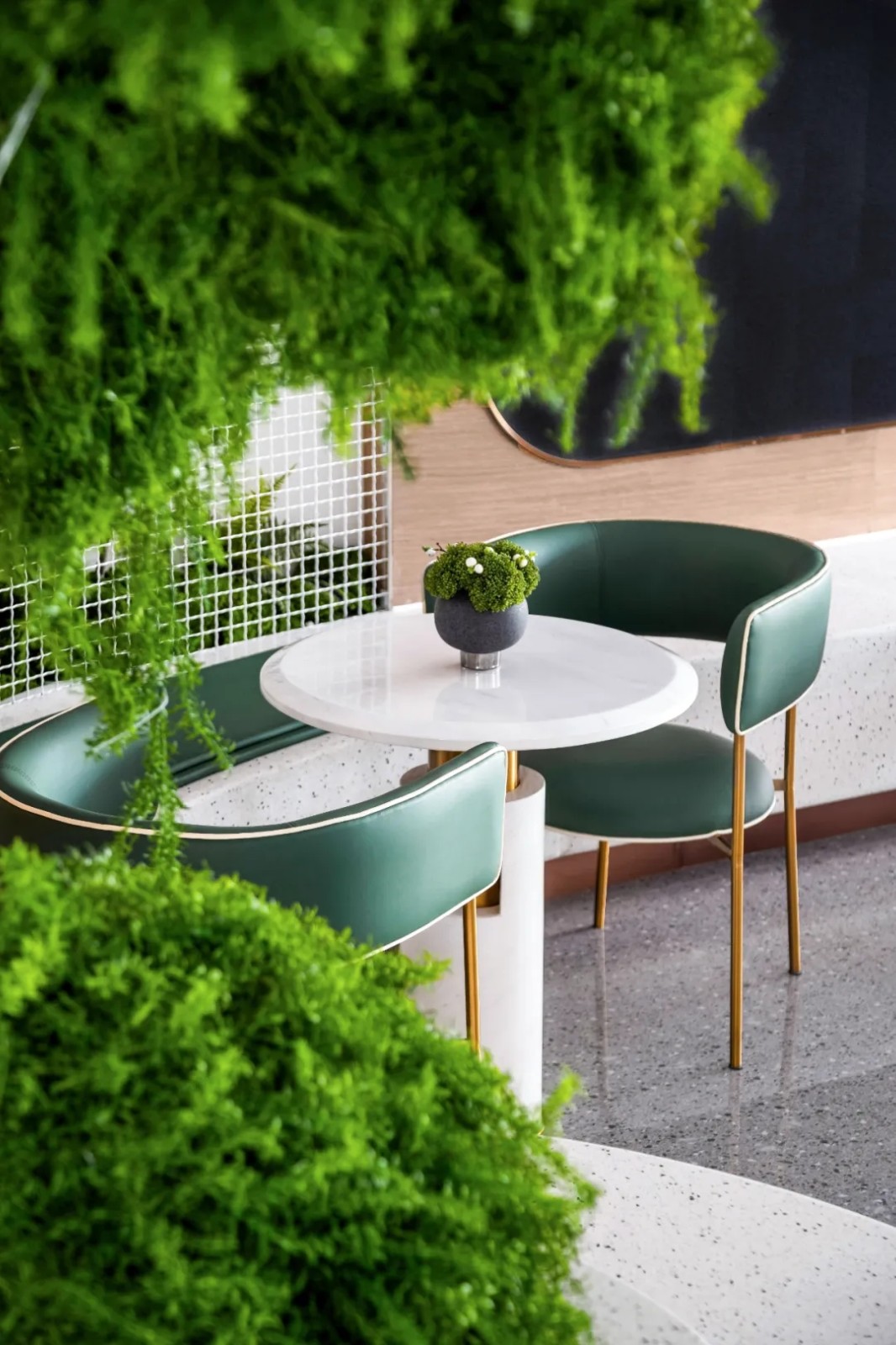 幻象森林,都市绿洲里的自然魅力-21