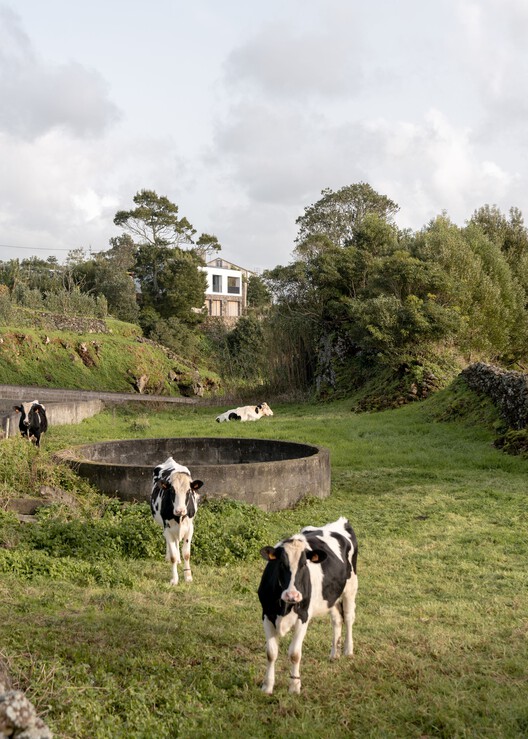 Livramento House · 简约岛屿度假别墅丨葡萄牙蓬塔德尔加达丨Mezzo Atelier-30