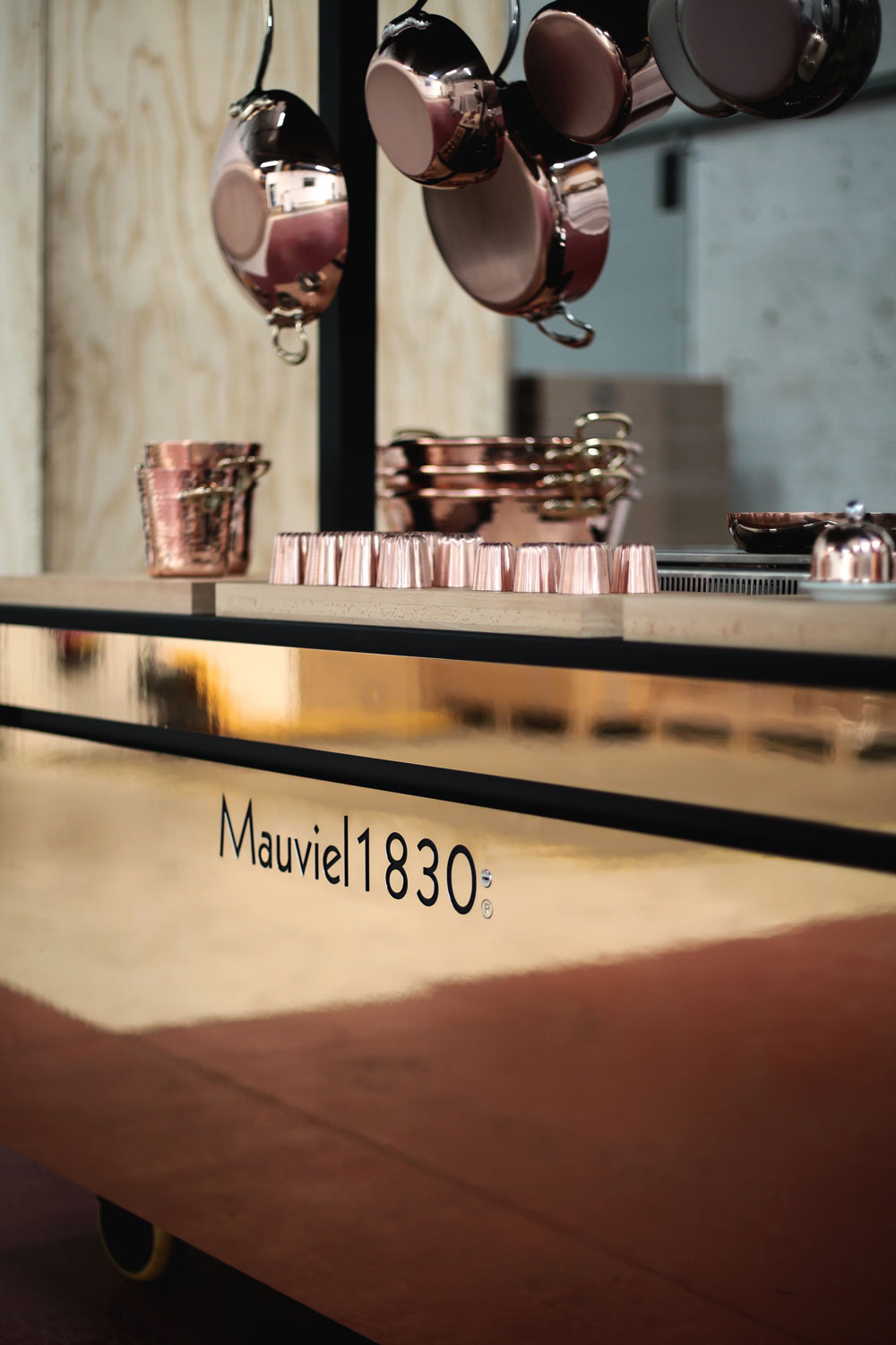 莫维耶1830 变形煲（注：Transformer bo·这里bo·不完整，推测可能是煲相关单词，若有更准确信息可进一步完善） -19