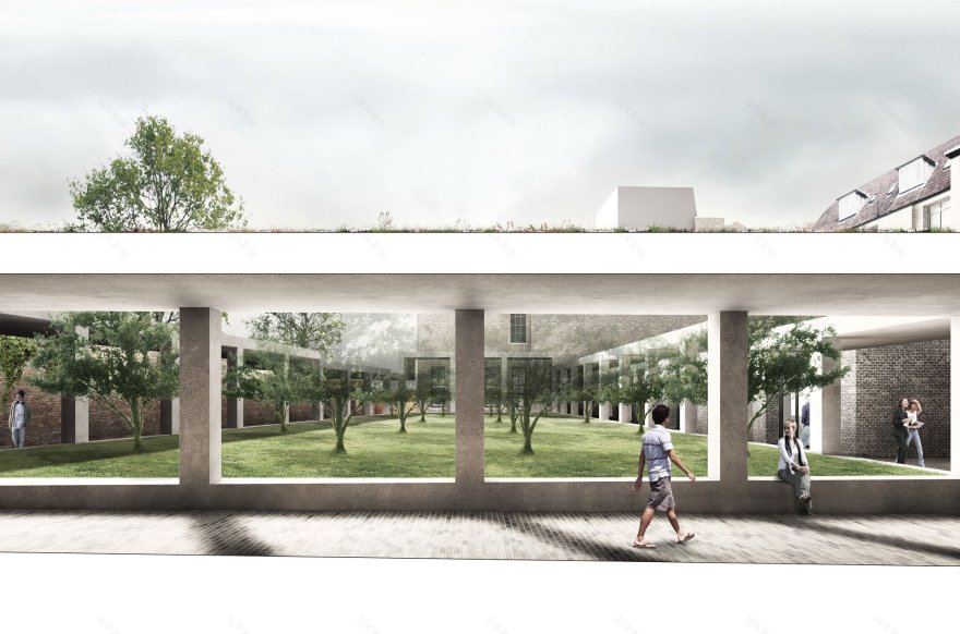 丨Henley Halebrown-8