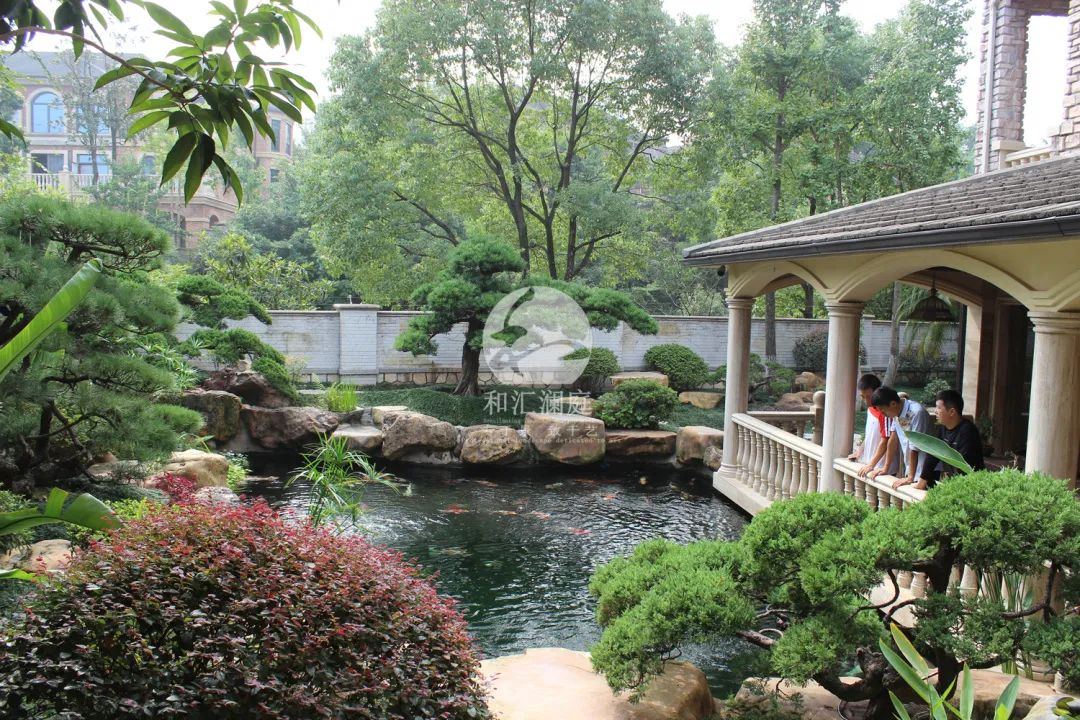 画龙点睛——庭院植物搭配解析-3