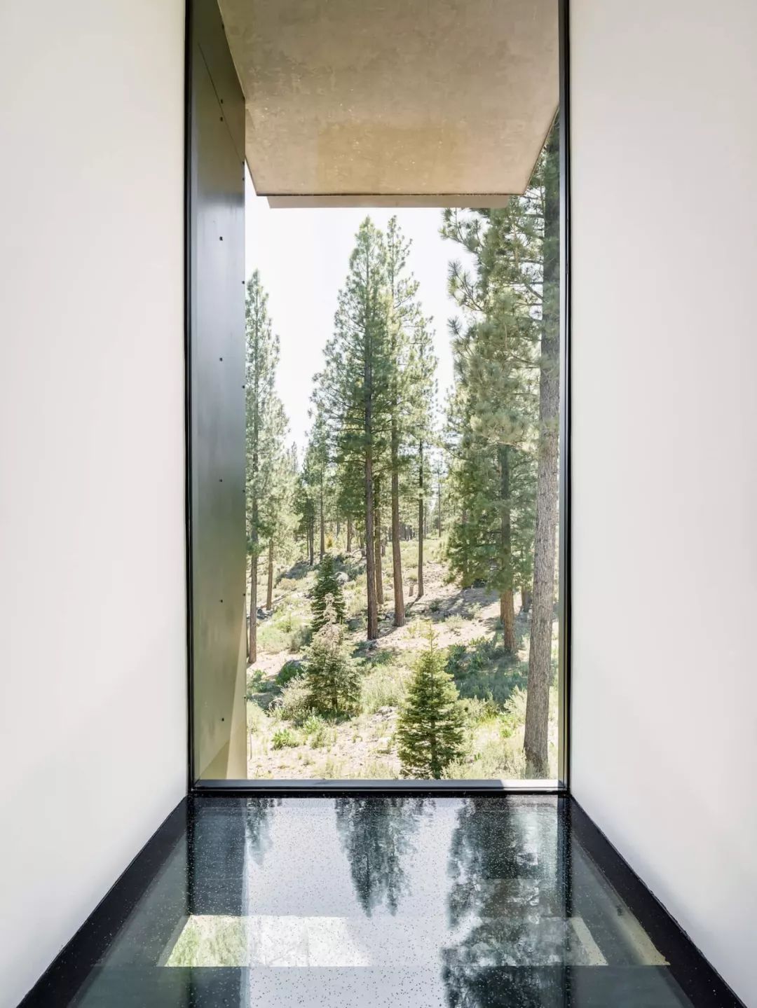 加州 Creek House | 自然与简约的完美融合-22