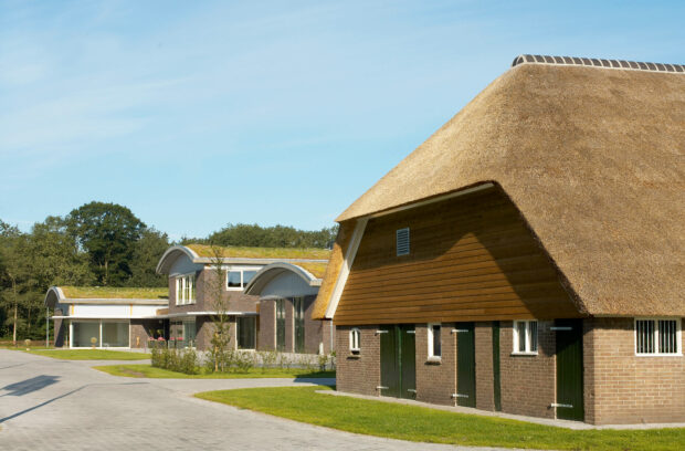 Hardenberg动物诊所项目-3