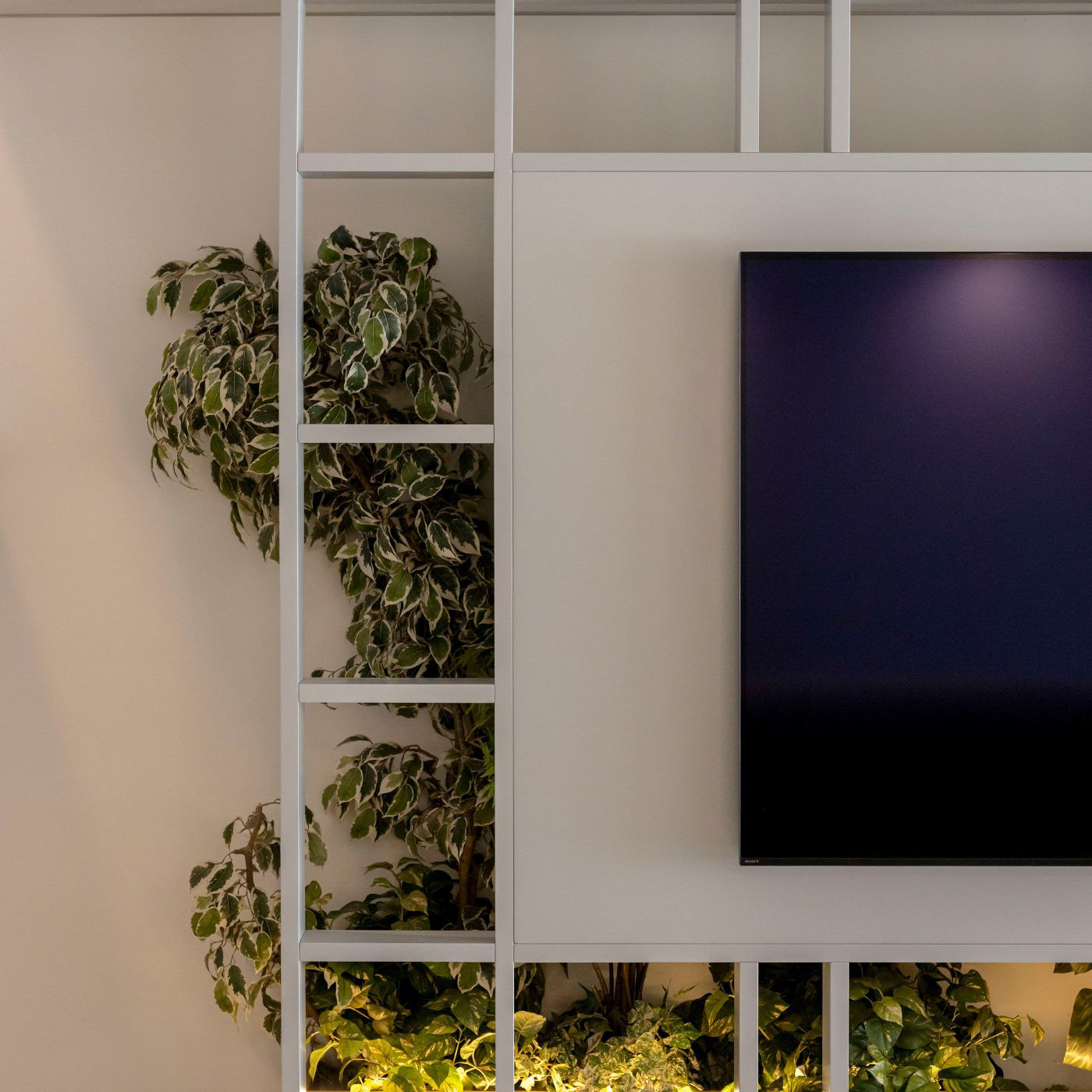 咸风；海风咸韵（考虑到Salty Breeze可能在特定情境中有更具意境表达，如果仅从字面严格翻译就是咸风 ）-28