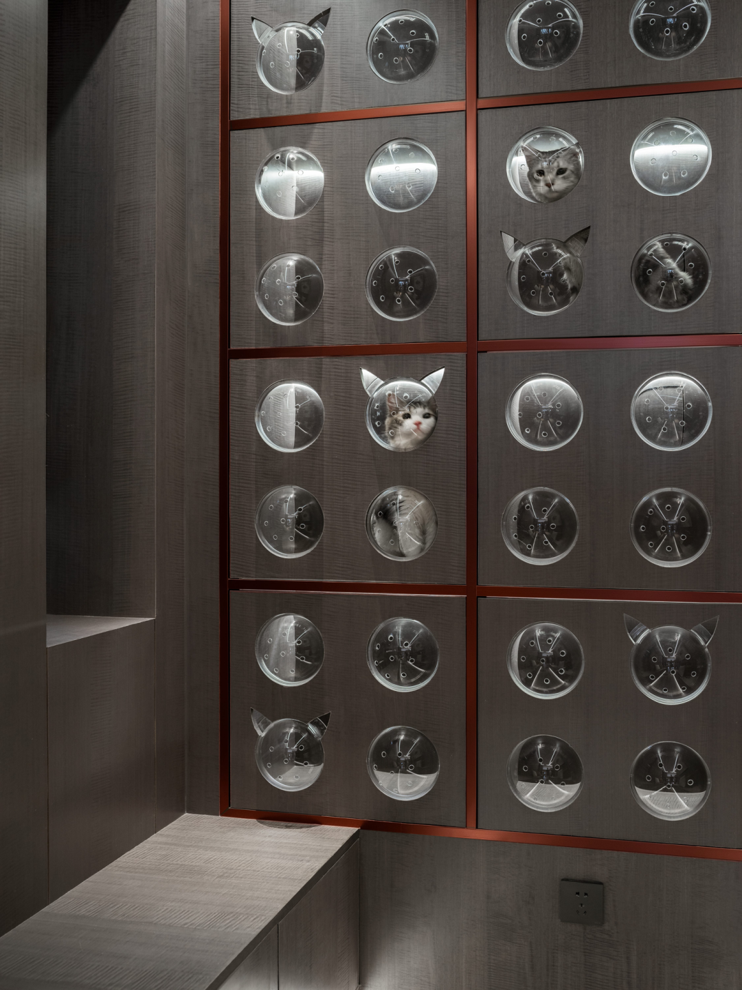 南头古城泊寓猫咖设计丨中国深圳丨SD Design 深圳市艾斯蒂设计有限公司-137