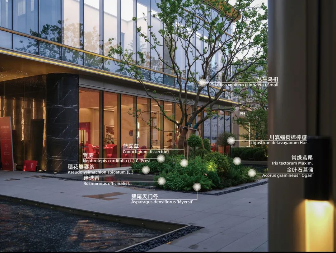 重新组合自然美 · 植物设计浅谈丨中国南京-29