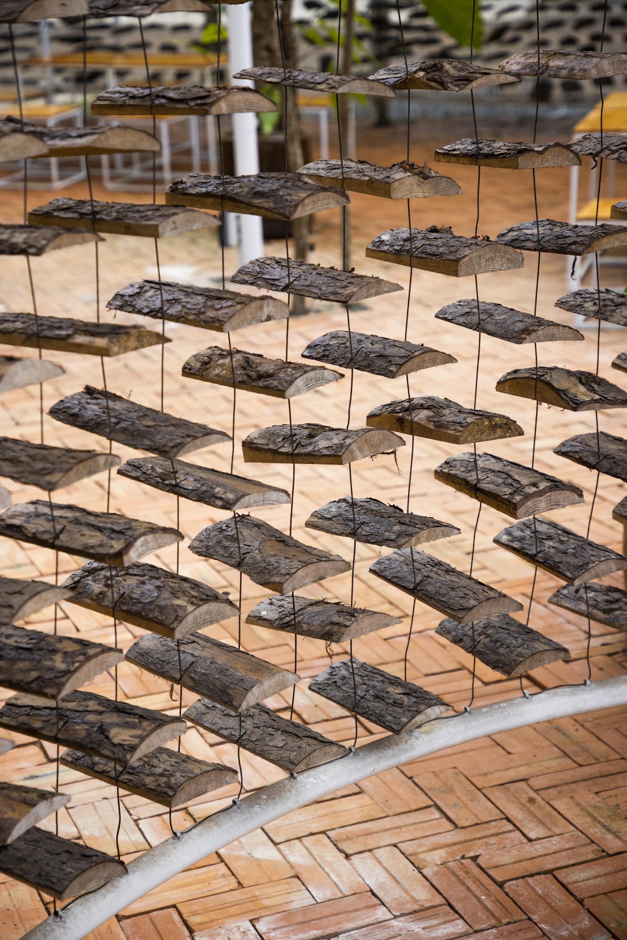 采茶，开花丨越南-46