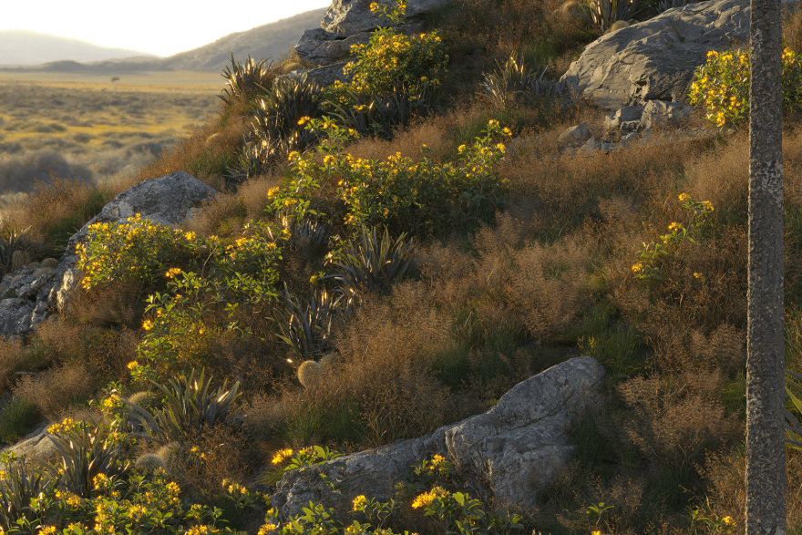 Rifugio 2286 - Alpine Residence | Passo di Giau-36