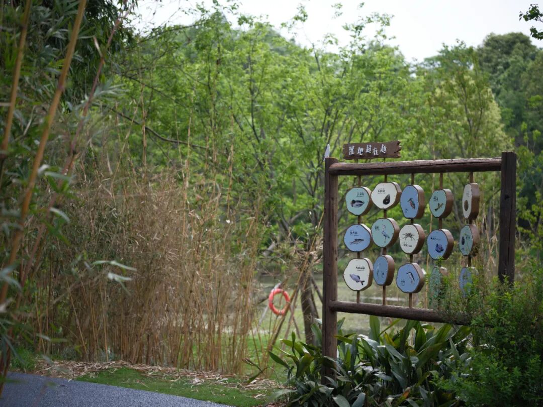 城市掌心的生态山野——麓野公园-260