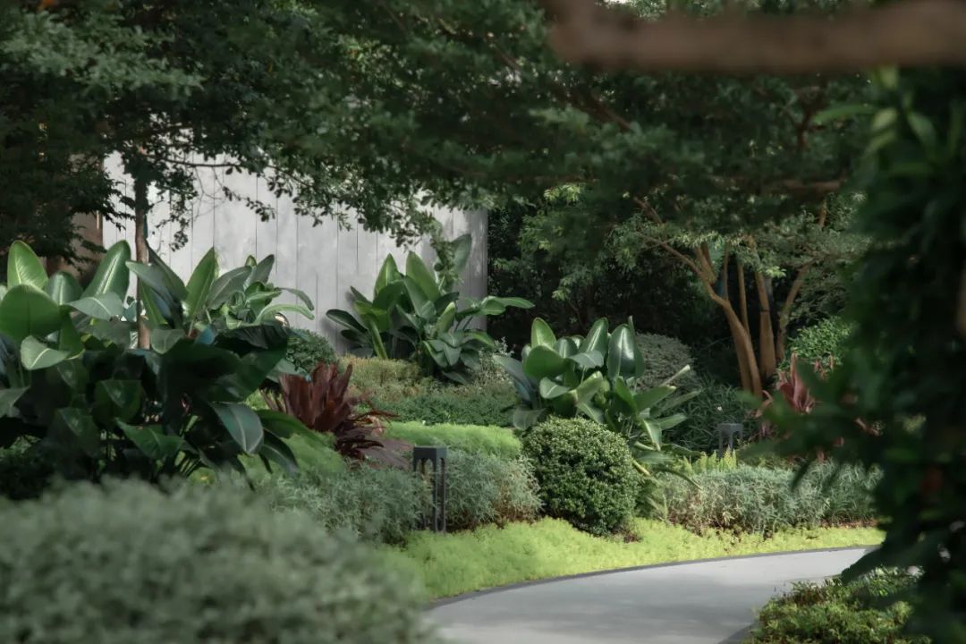 又见，港风 | 中山朗诗 · 金钟湖壹号-33