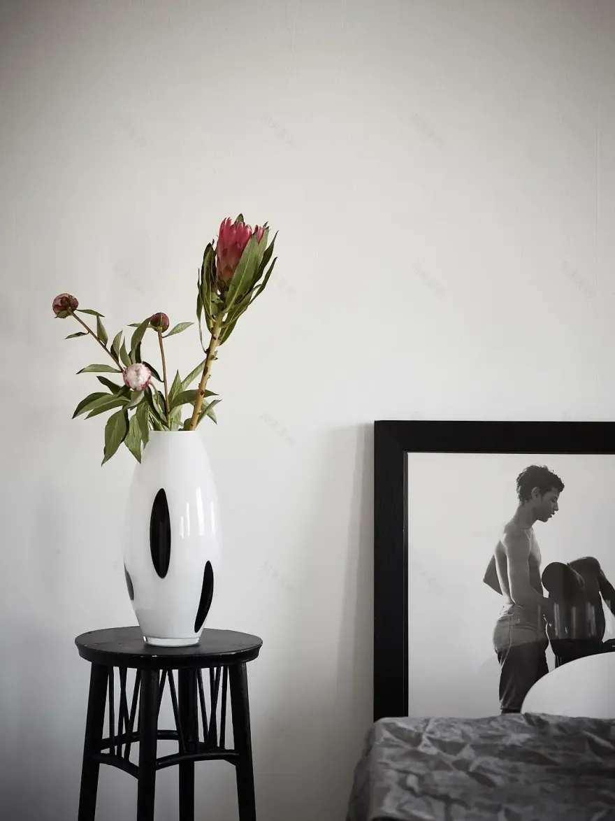 阳光明媚的 20 世纪初建筑公寓-5