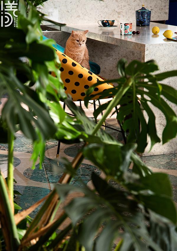 绿野仙踪 · 90 后海归的个性家居设计丨中国深圳丨漾设计-38