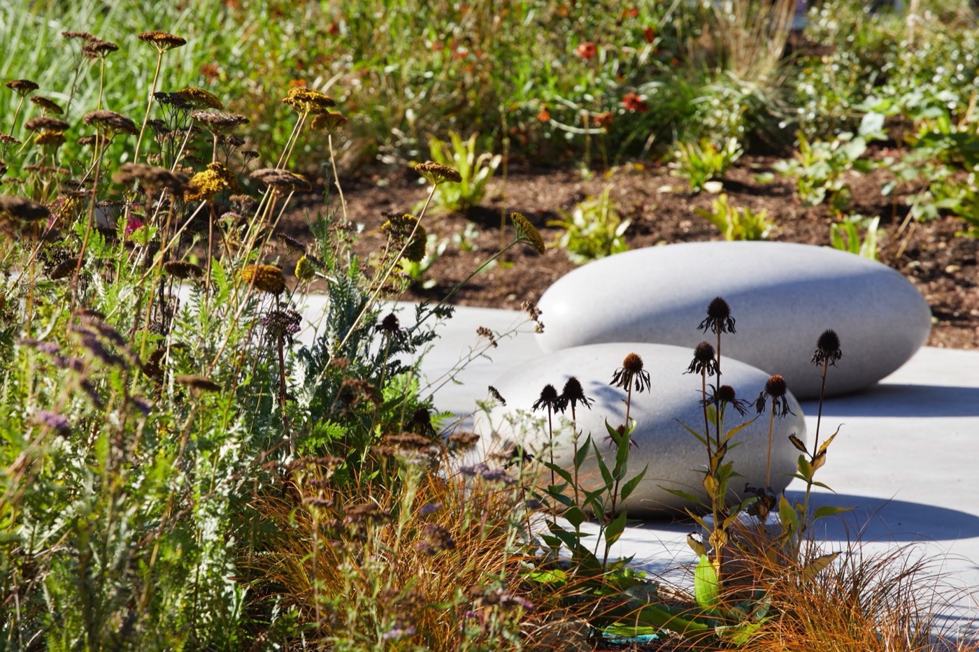 绿色之心的现代景观设计丨BD landscape architects-15