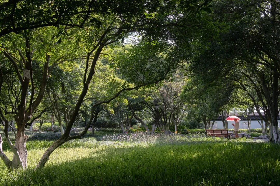ASLA获奖作品 连接过去和未来的城市绿洲——嘉兴火车站景丨中国嘉兴丨致舍景观-30