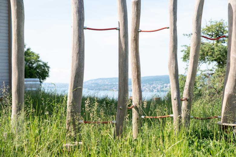 Trift Kuppe丨瑞士丨manoa landschaft ag-6