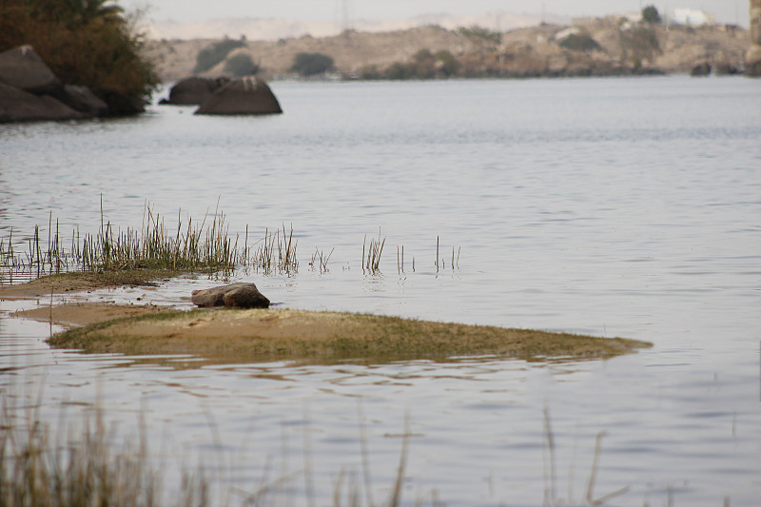 惠州蝶变·云帆国际艺术设计公司的自然共生空间丨中国惠州丨深圳市云帆国际艺术设计有限公司-36