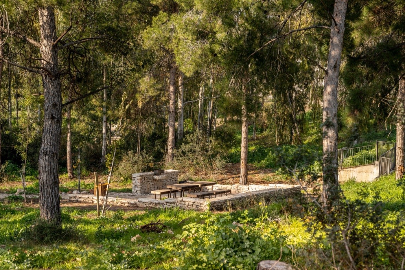 以色列哈里什森林公园-12