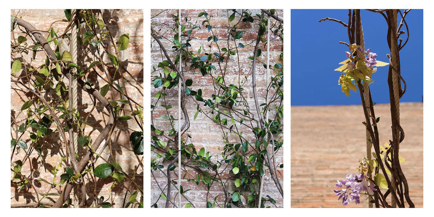 The reformulation of a dwellings condition adapted to Mediterranean climate, in the urban density of Gracia’s district   Page 3 of 3   CAANdesign  Architecture and home design blog-8