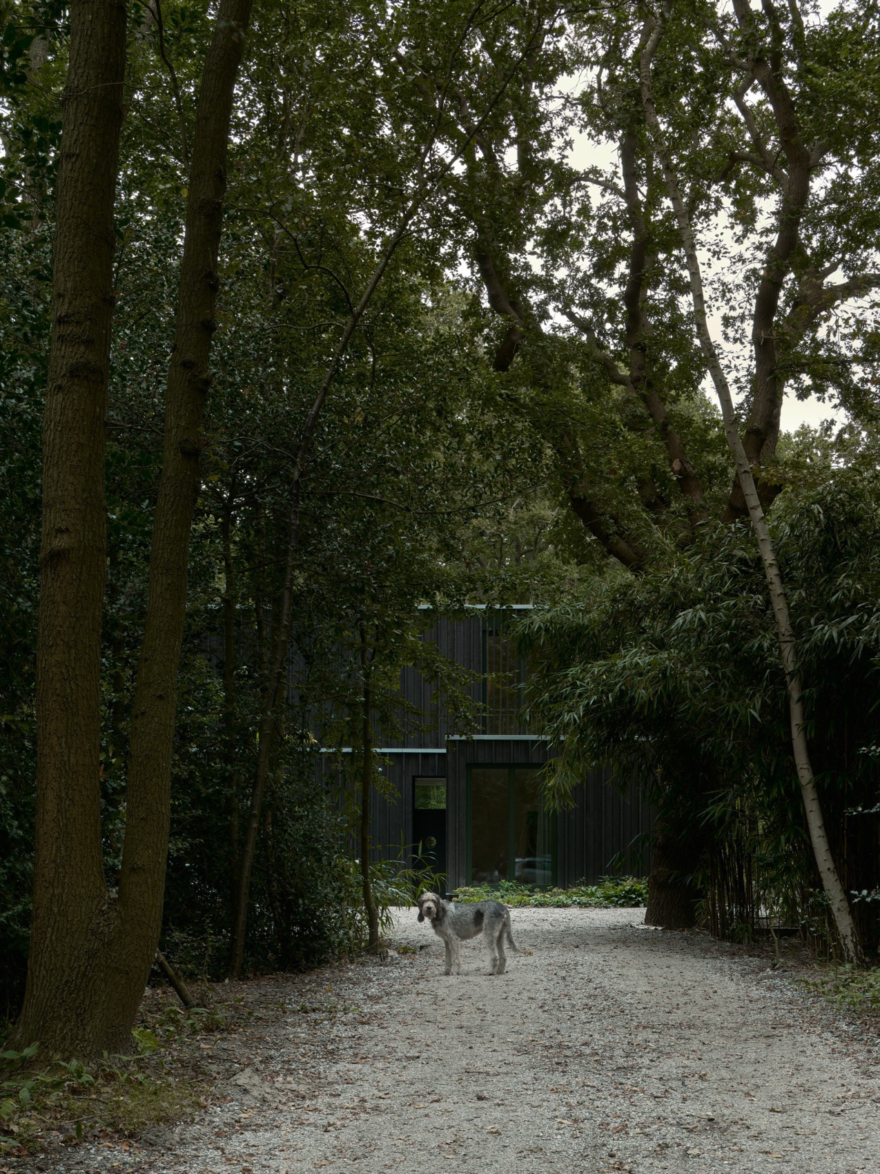 Oostvoorne森林住宅丨荷兰丨Kumiki Architecture-73