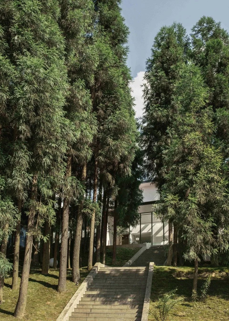 8个经典老建筑改造:老厂房、祖宅、乡村小学、空心村...
-138