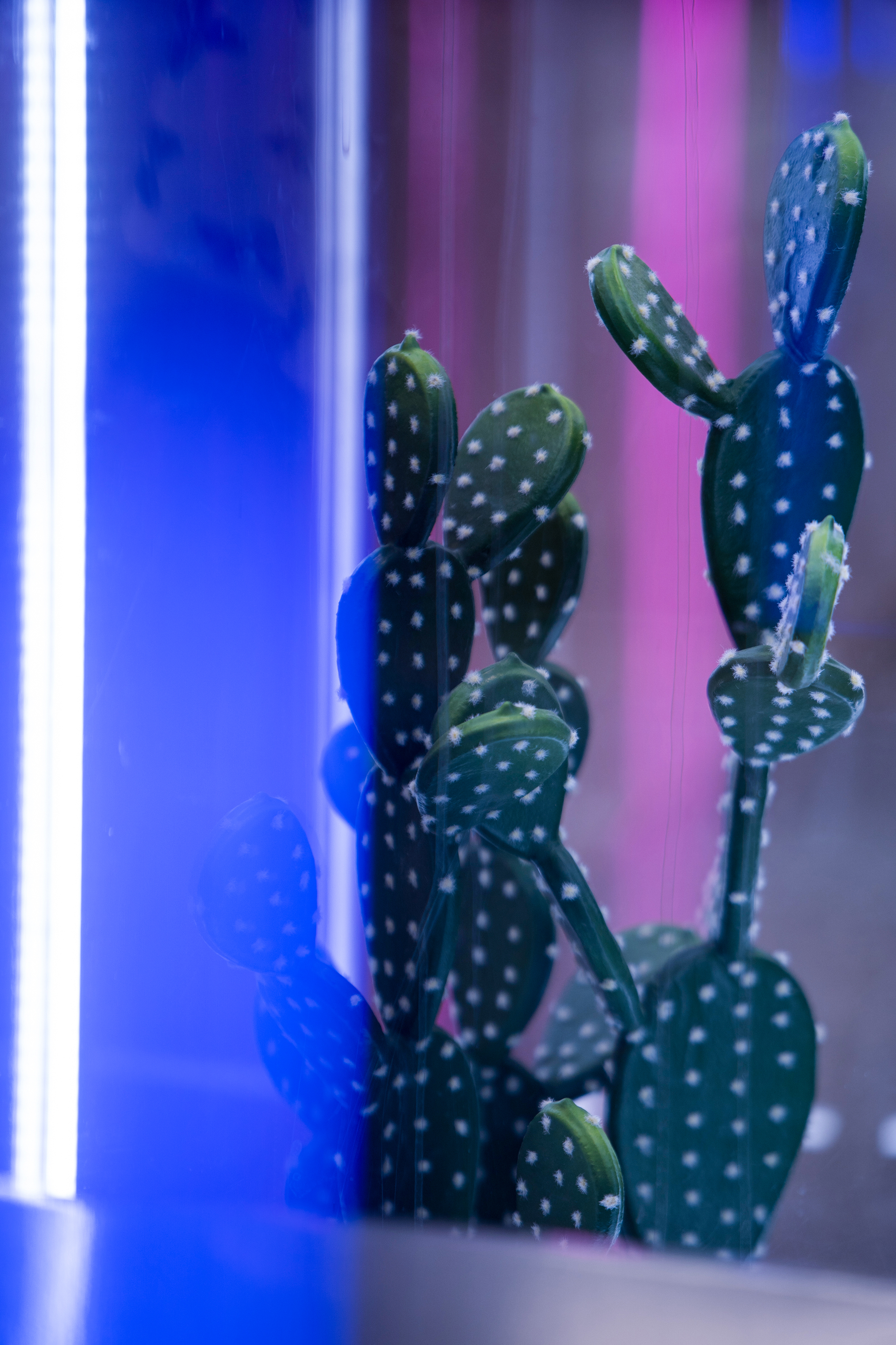 汕头万象城N次方公园“次元矩阵”丨中国汕头丨夏谷暑雨-46