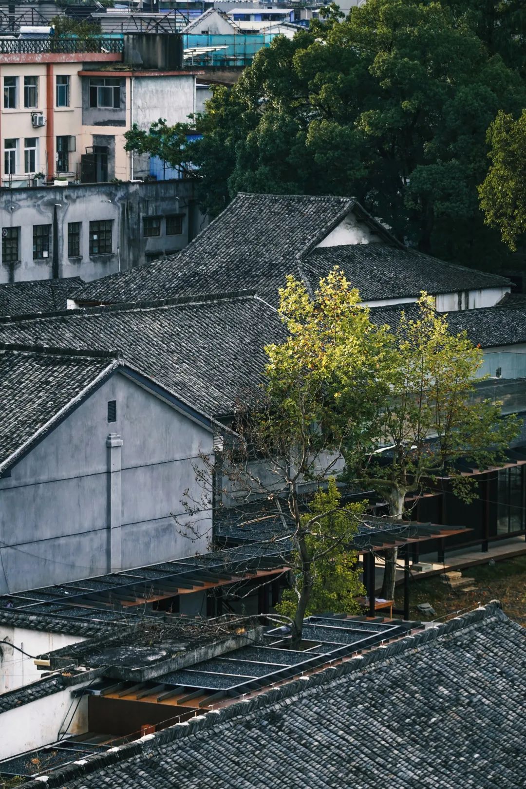 文里·松阳三庙文化交流中心 | 传统与现代共融的更新设计-181